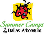 Dallas summer camps